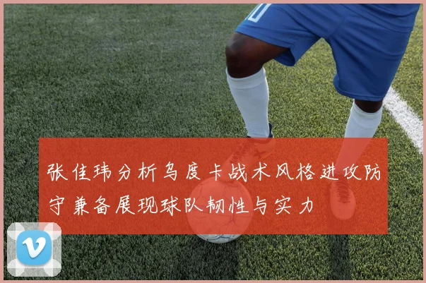 张佳玮分析乌度卡战术风格进攻防守兼备展现球队韧性与实力