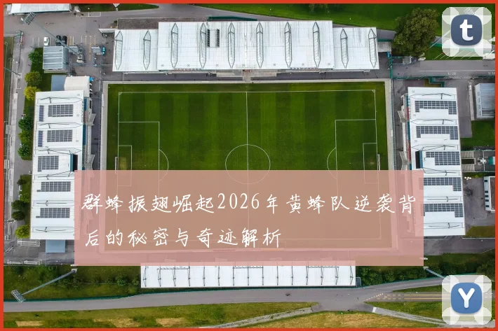 群蜂振翅崛起2026年黄蜂队逆袭背后的秘密与奇迹解析